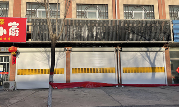 Roller shutter door